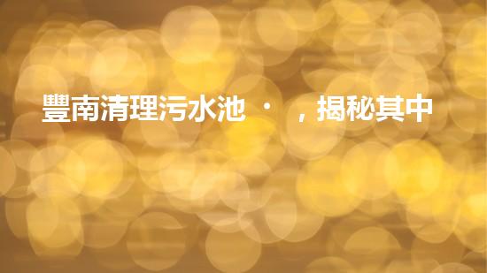 豐南清理污水池，揭秘其中的驚人發(fā)現(xiàn)！
